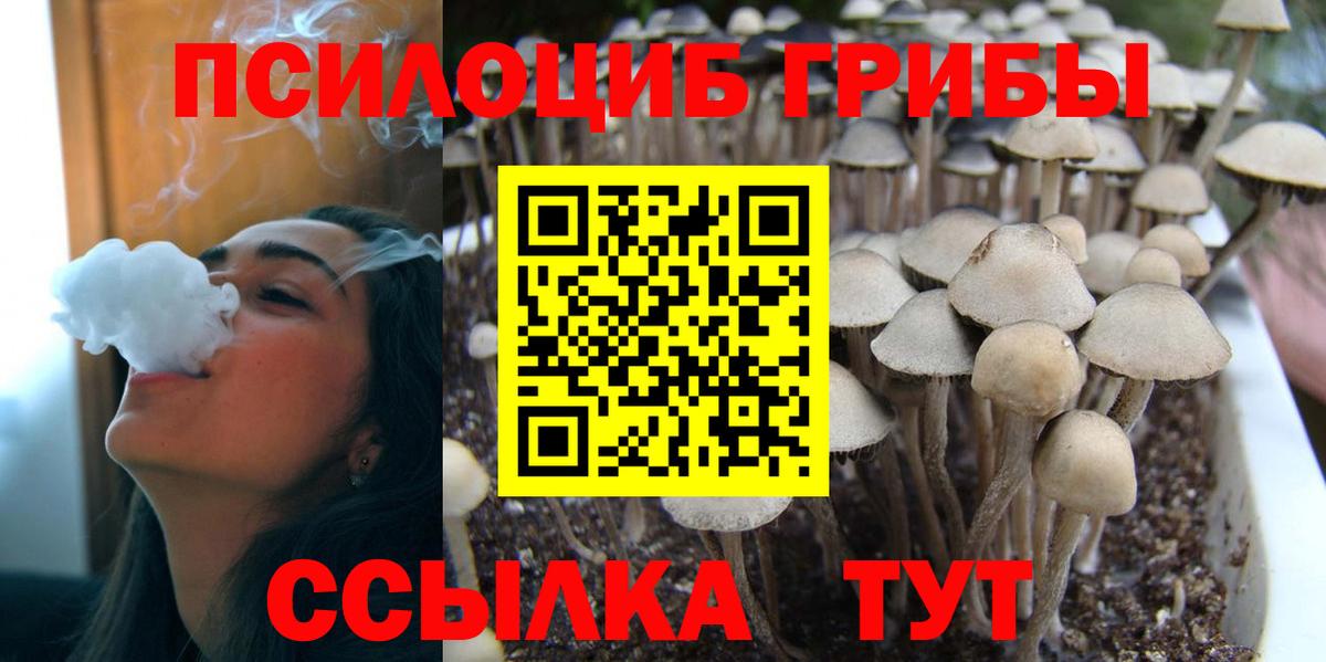 Псилоцибиновые грибы Magic Shrooms Долгопрудный