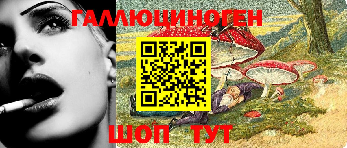 сколько стоит  Псилоцибиновые грибы прущие грибы  Долгопрудный  Вход с VPN  Псилоцибиновые грибы мицелий 
